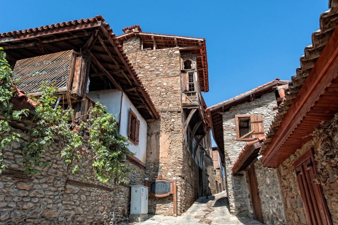 Appartement Yeni Gelin Evi à Birgi Extérieur photo